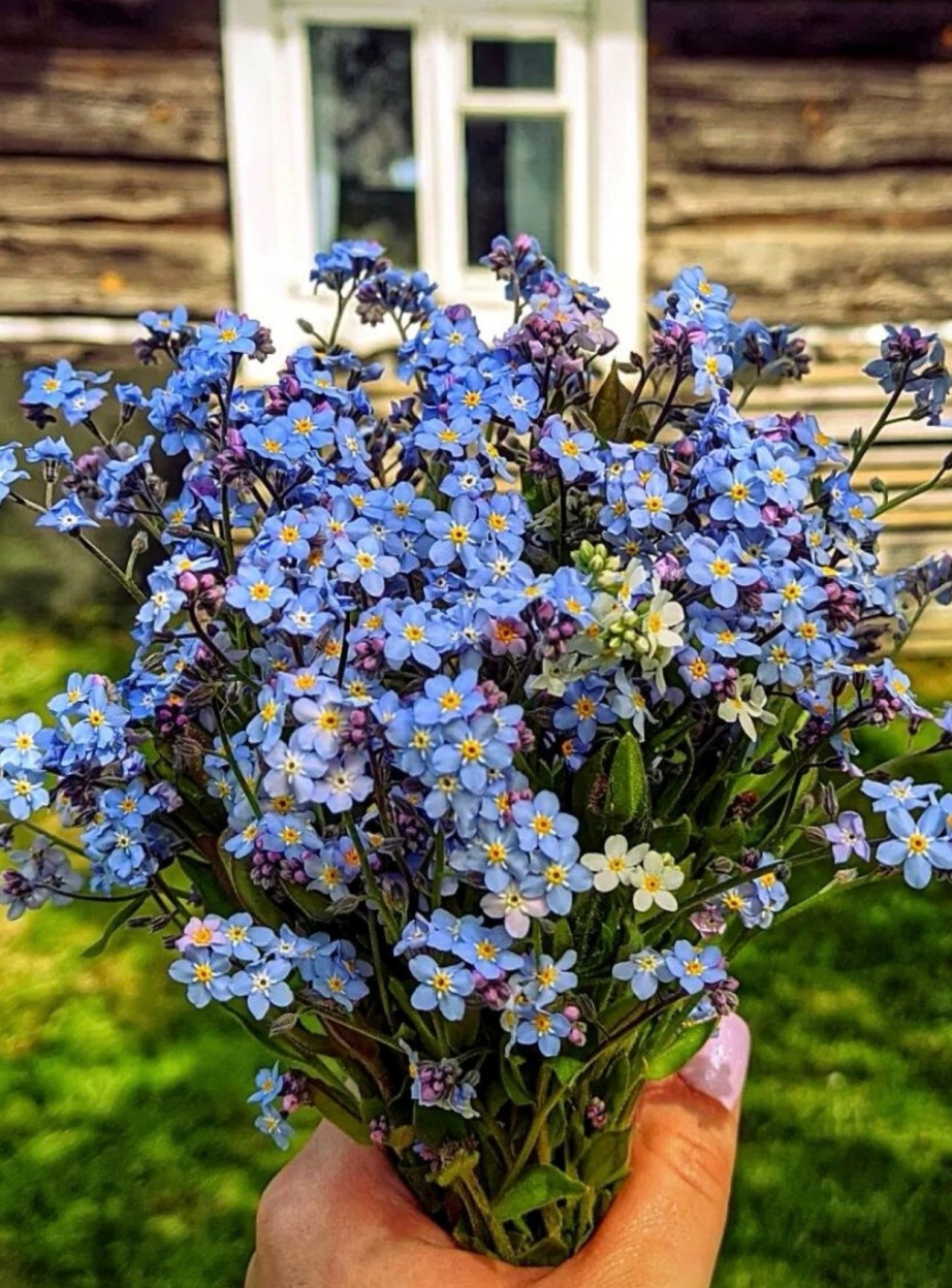 Bereavement and Loss Support